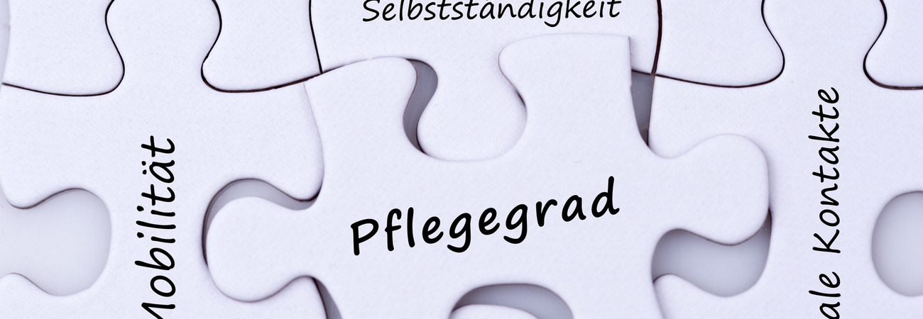 Puzzleteile mit verschiedenen Modulen