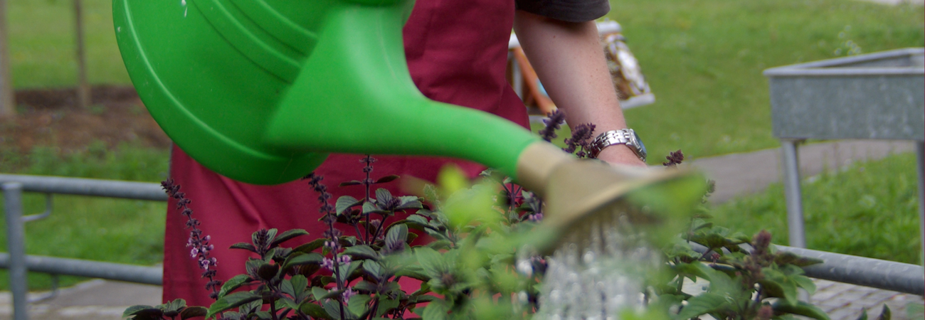 Mit Gartenarbeit seine Fähigkeiten entdecken