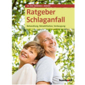 Ratgeber Schlaganfall - Behandlung, Rehabilitation, Vorbeugung